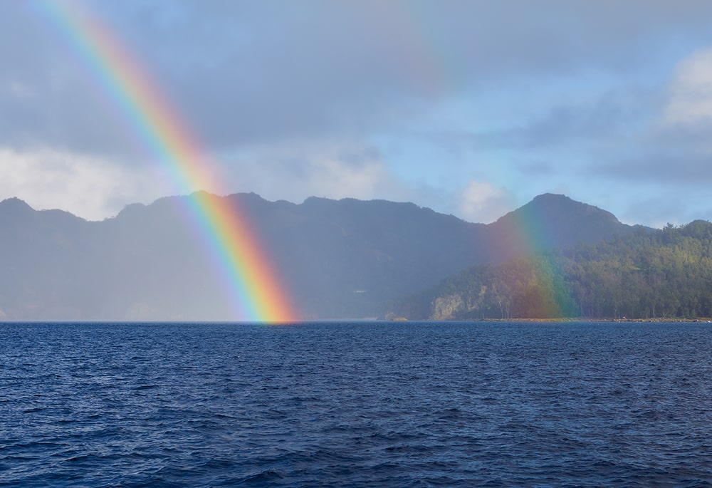 フッター虹の画像